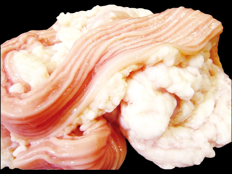 黒毛和牛・国産交雑牛MIX 脂付きシマチョウ