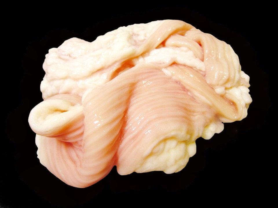 〔冷凍〕アメリカ産 肉厚シマチョウ