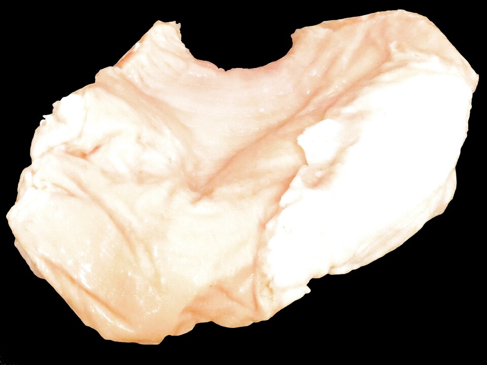 黒毛和牛・国産交雑牛MIX ミノサンド