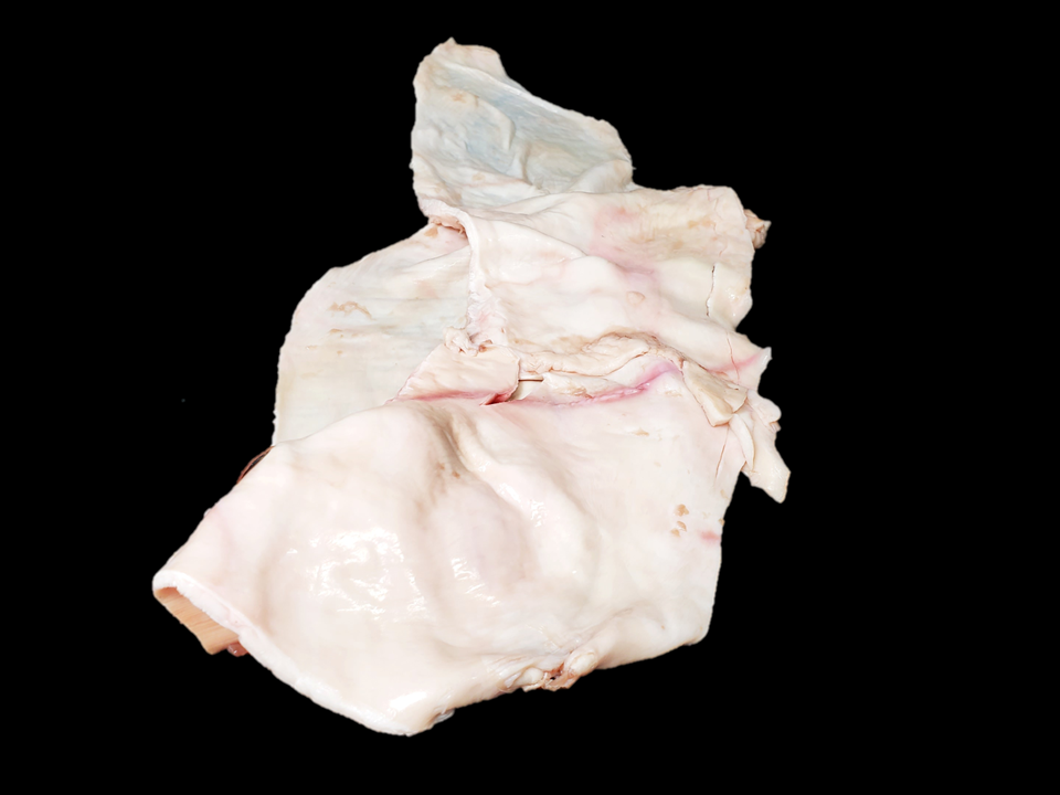 黒毛和牛 ハラミスジ