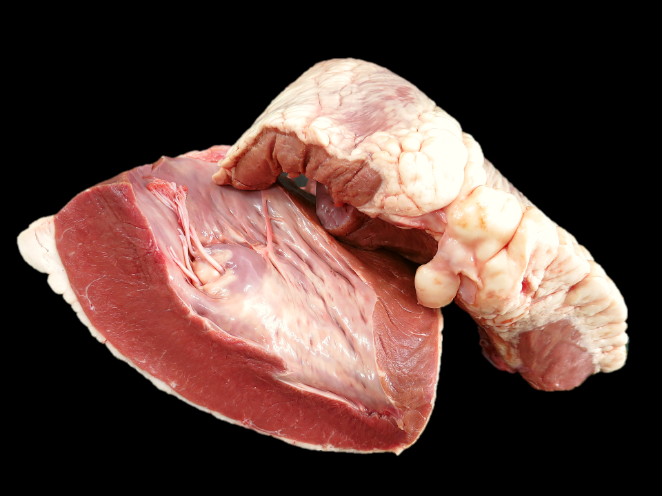 黒毛和牛 トロハツ