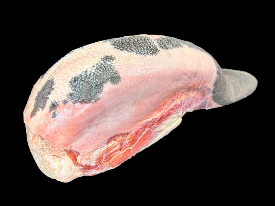 黒毛和牛・国産交雑牛 皮付きタン(ノドなし)