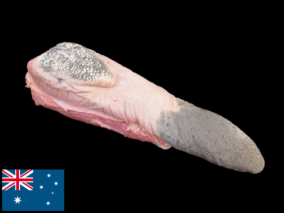 〔冷凍〕オーストラリア産 皮付きタン 穀物肥育
