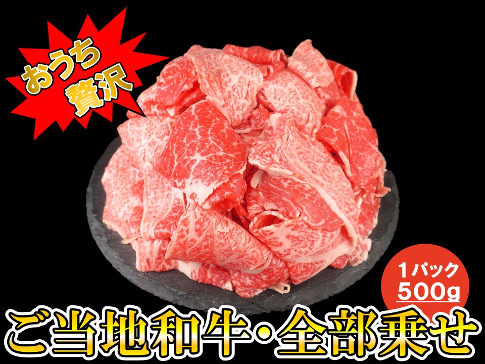 一頭買い和牛卸が作った！ご当地和牛・全部乗せ〔1パック＝500g〕