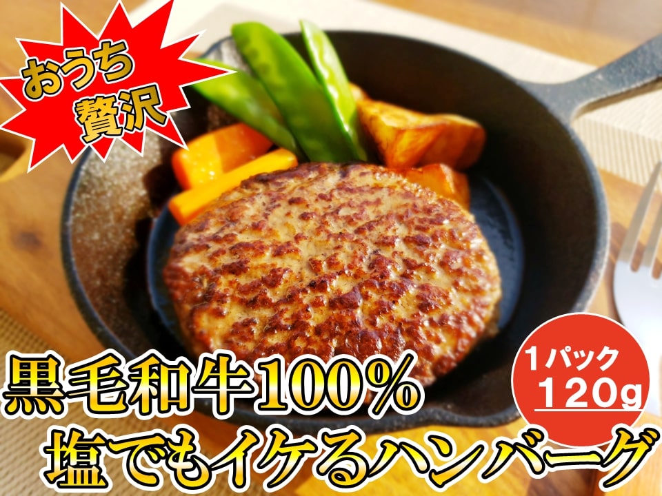 一頭買い和牛卸が作った！黒毛和牛100% 塩でもイケるハンバーグ【湯煎用】〔1パック＝120g〕