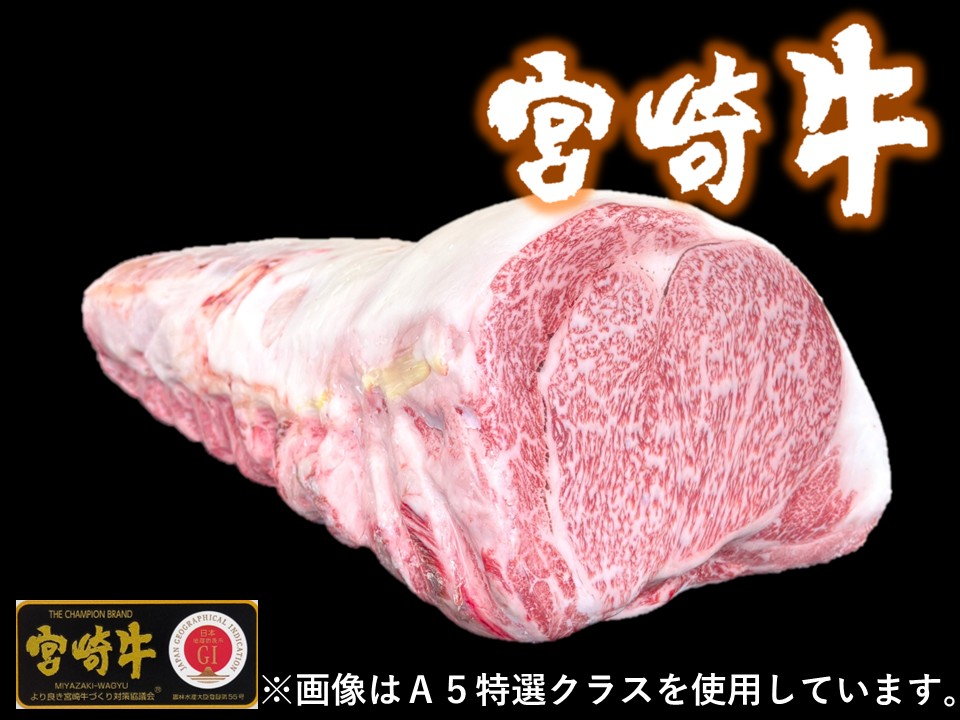 黒毛和牛 宮崎県産 宮崎牛 サーロイン