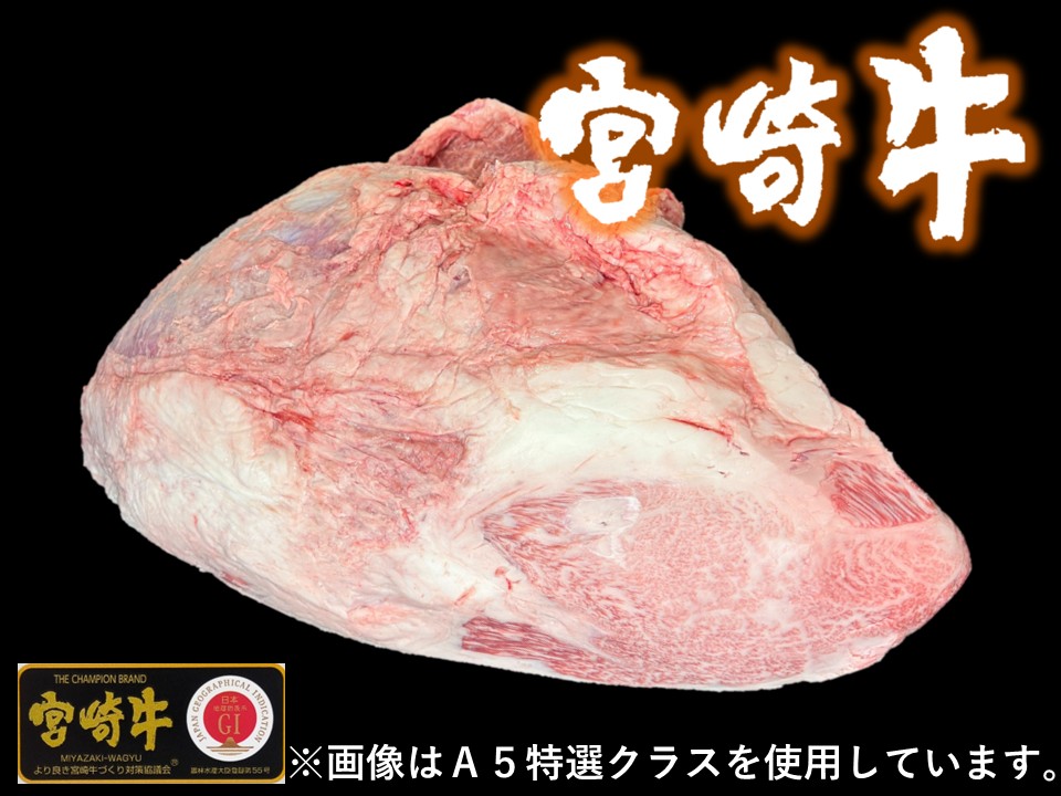 黒毛和牛 宮崎県産 宮崎牛 シンタマ