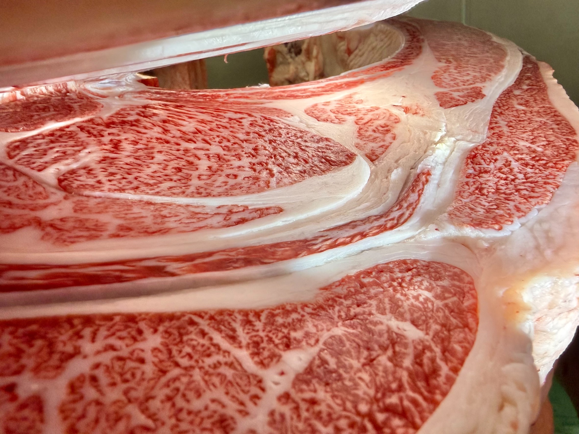 常陸牛1