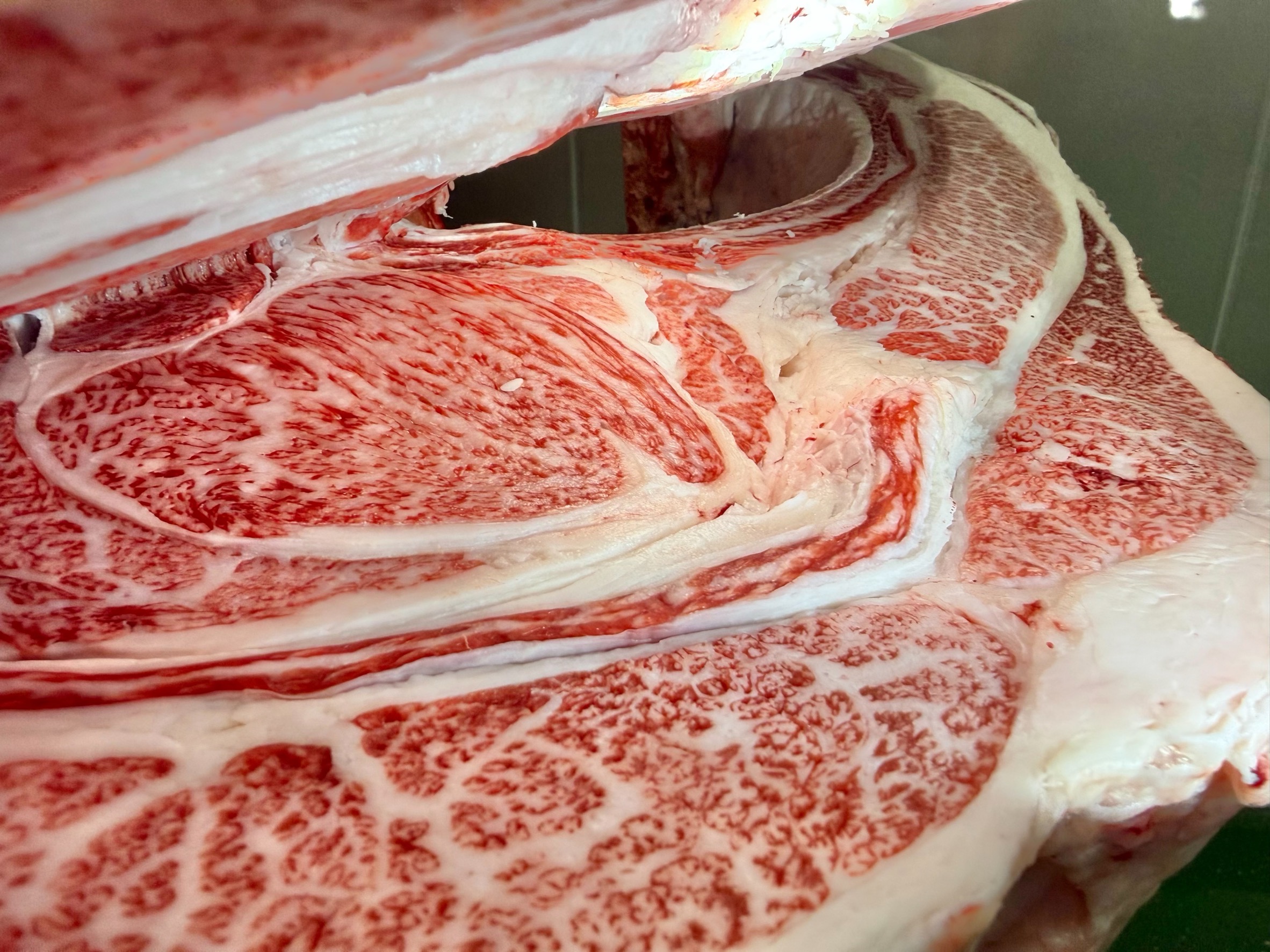 常陸1