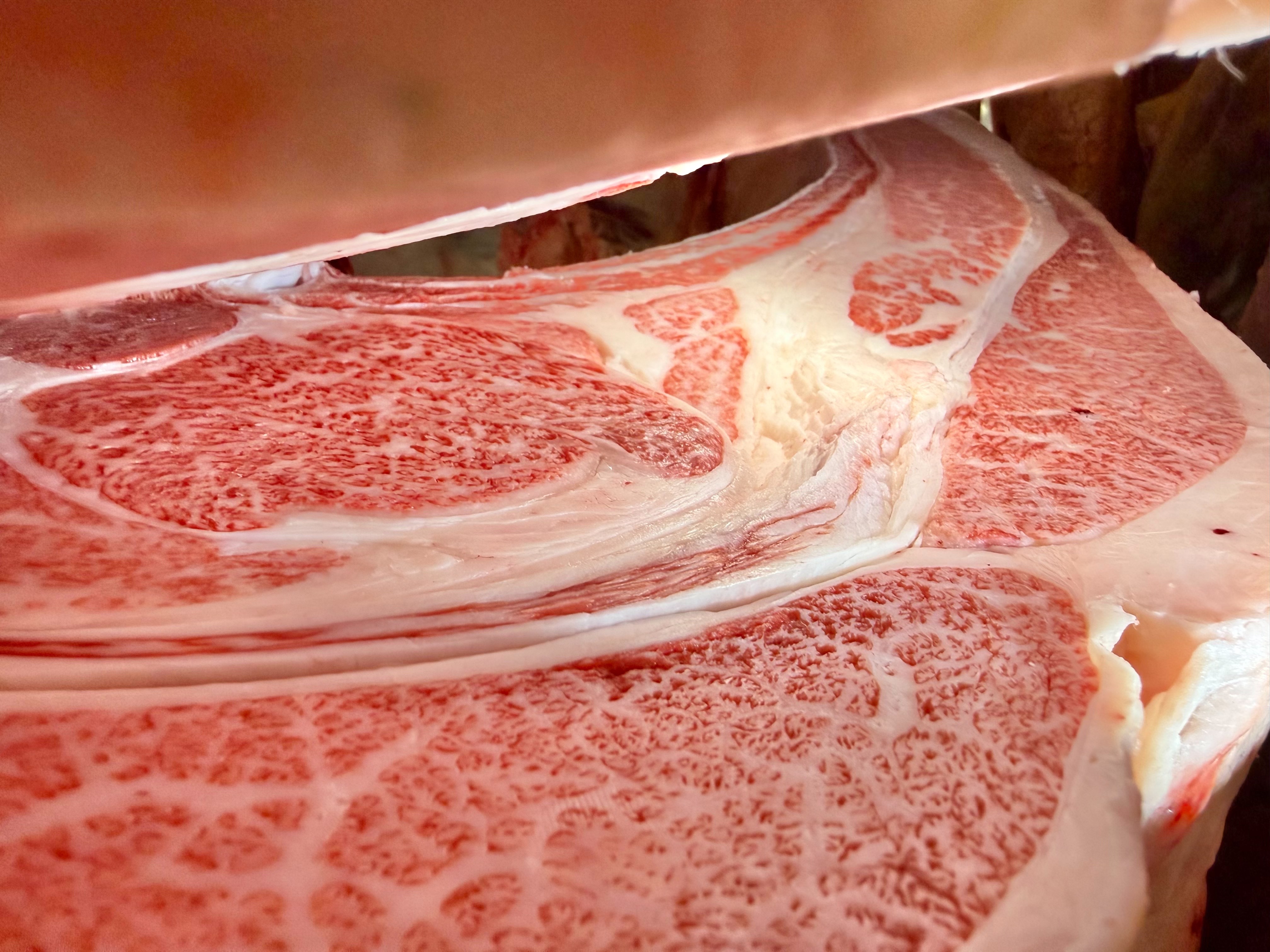いわて1