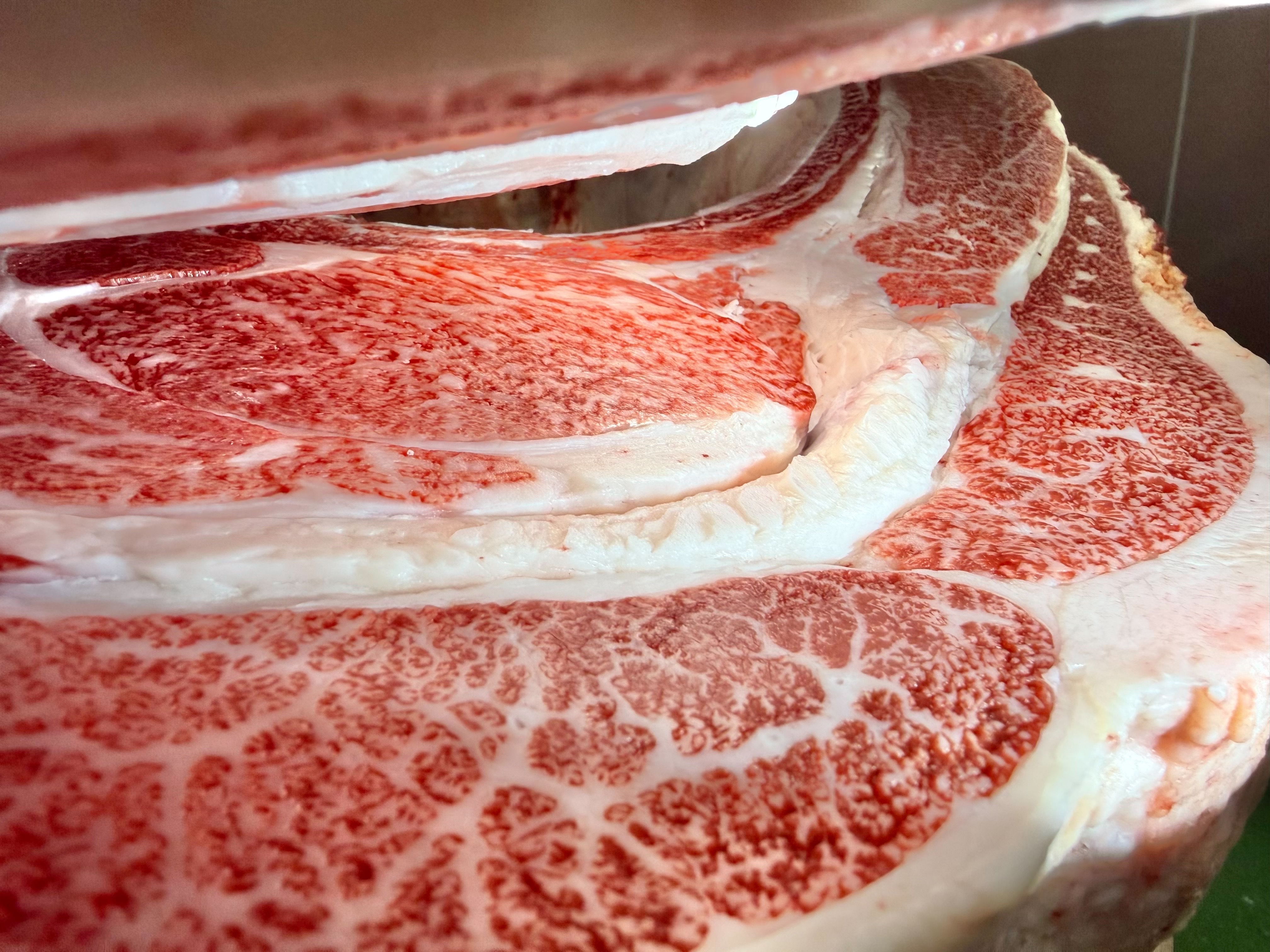 常陸1